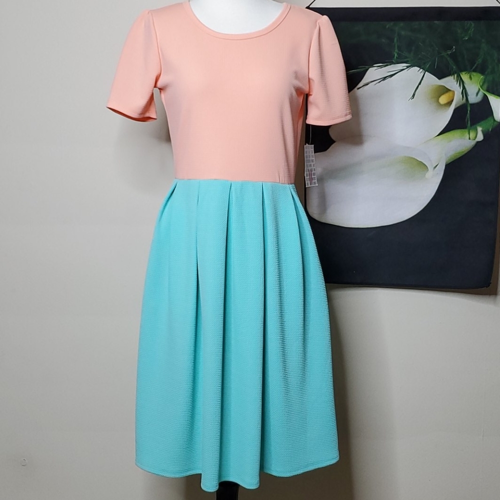 NWT LuLaRoe Amelia Swing Dress